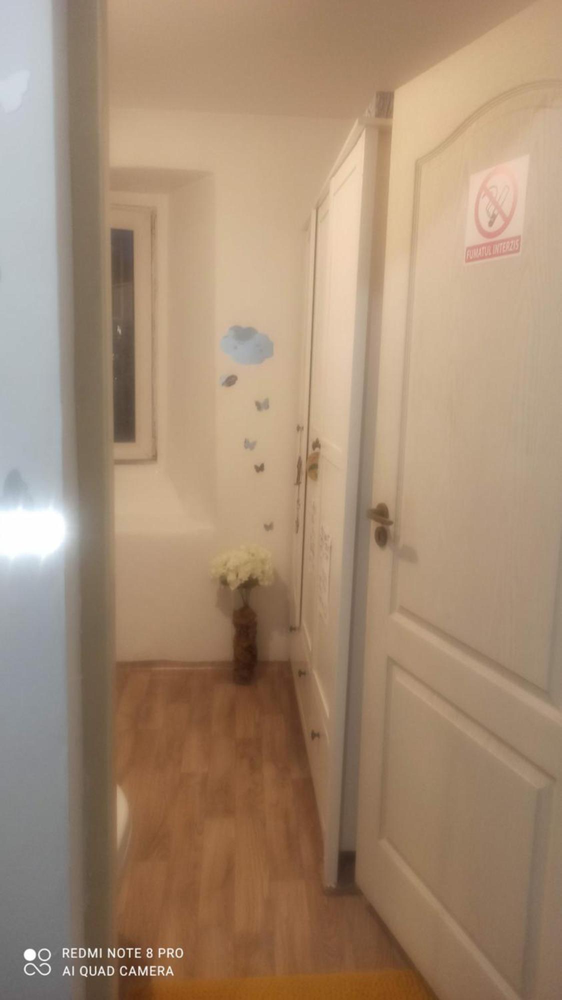 Studio pe Someș Cluj-Napoca Exterior foto